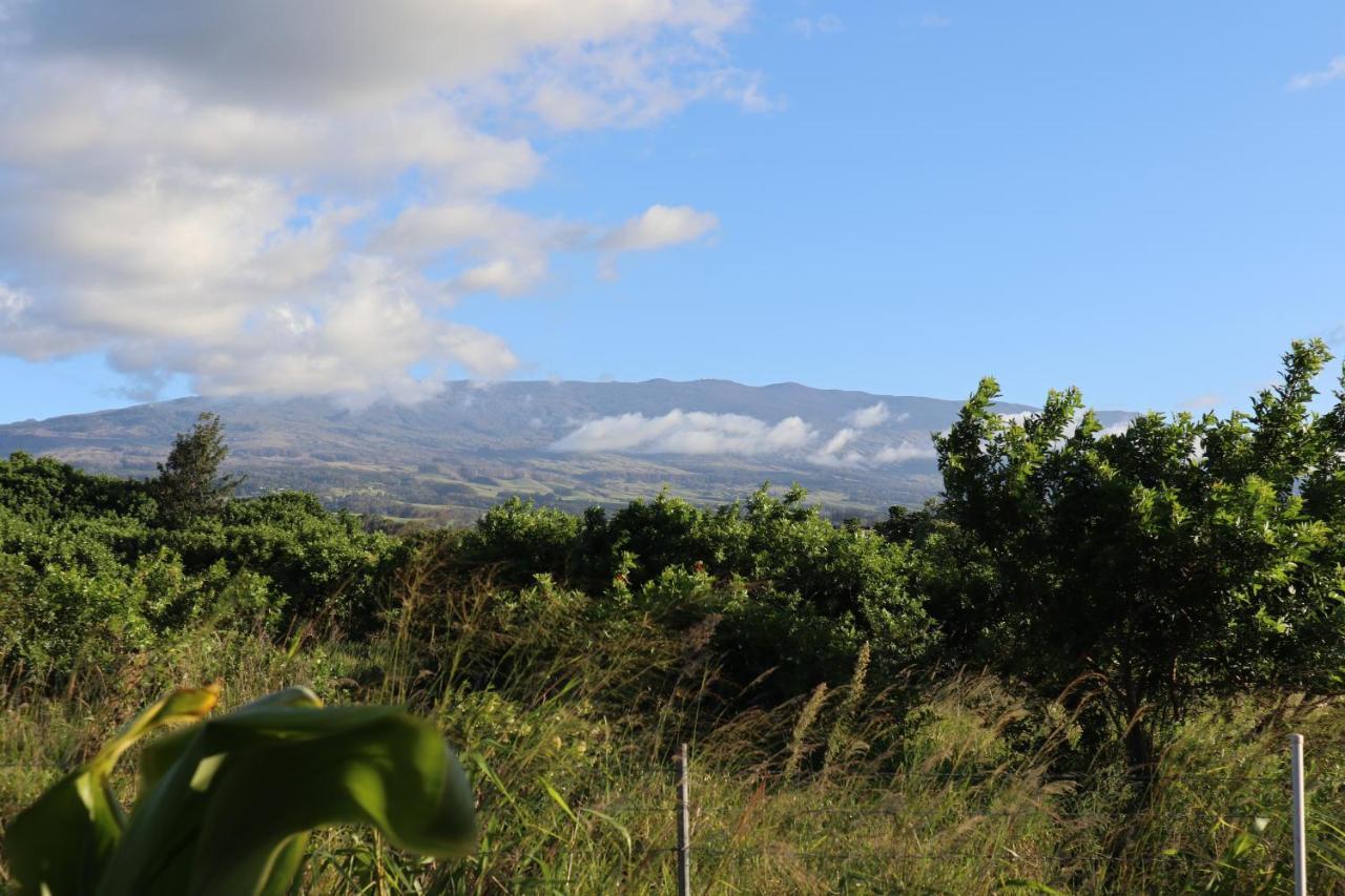 毛伊和平之神住宿加早餐旅馆 Makawao 外观 照片