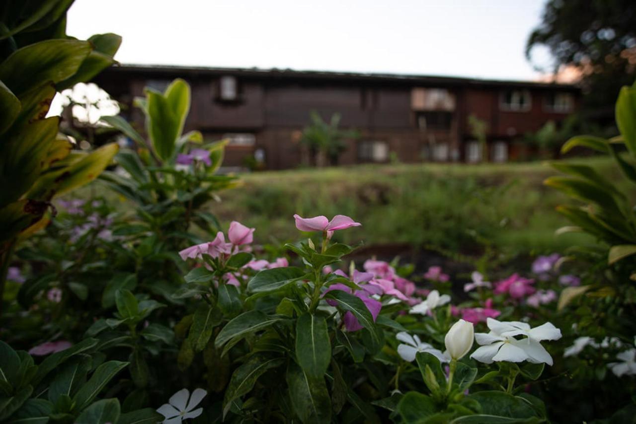 毛伊和平之神住宿加早餐旅馆 Makawao 外观 照片