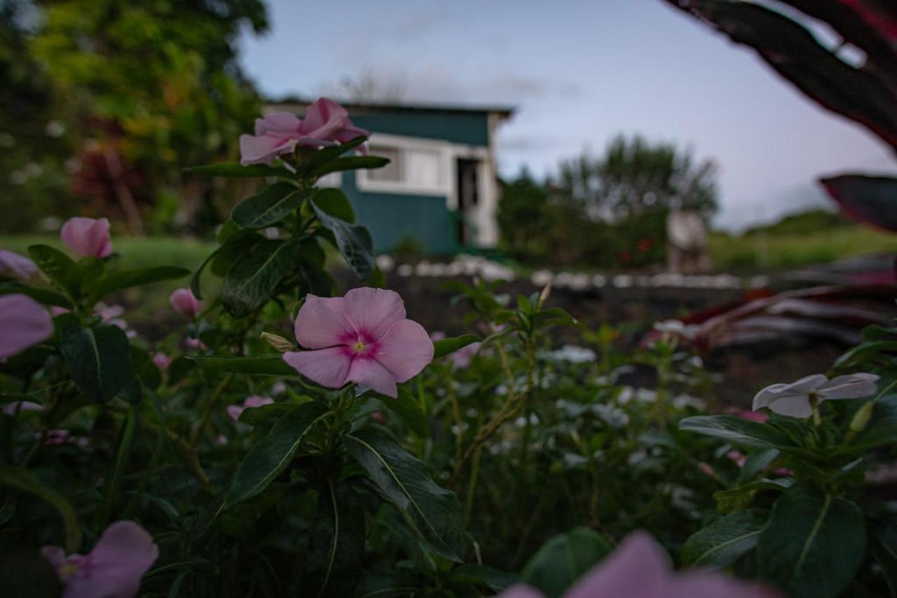 毛伊和平之神住宿加早餐旅馆 Makawao 外观 照片